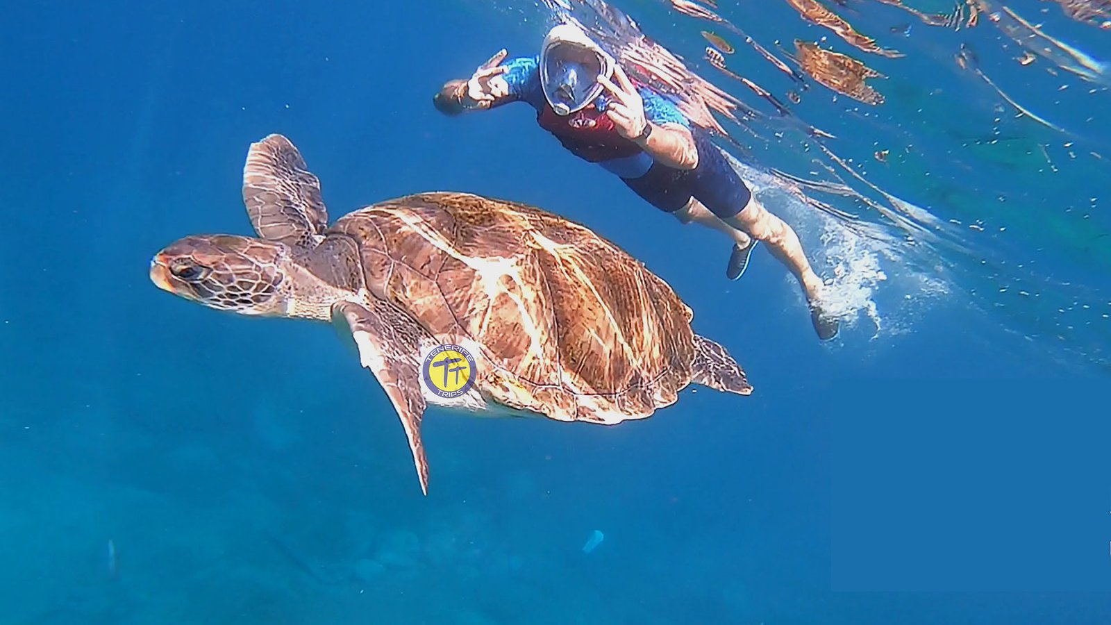 kayak et snorkeling à Ténérife