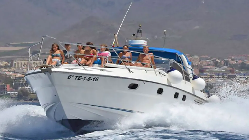 whales in Tenerife