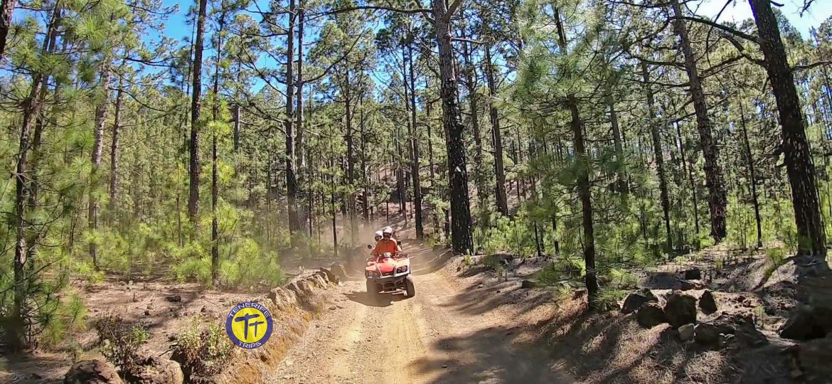 avventure terrestri a Tenerife