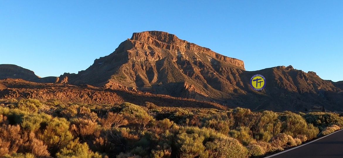 immagini di Tenerife