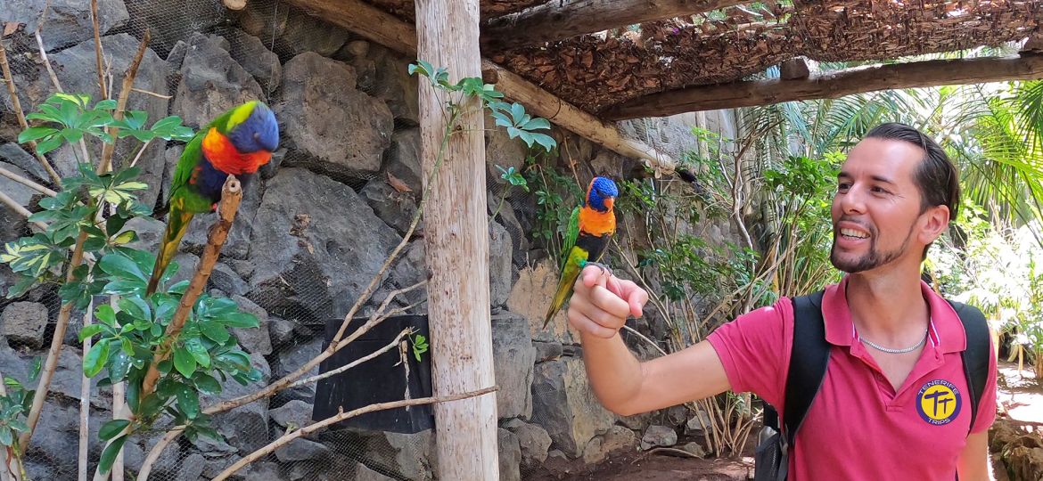 Parchi divertimento Tenerife