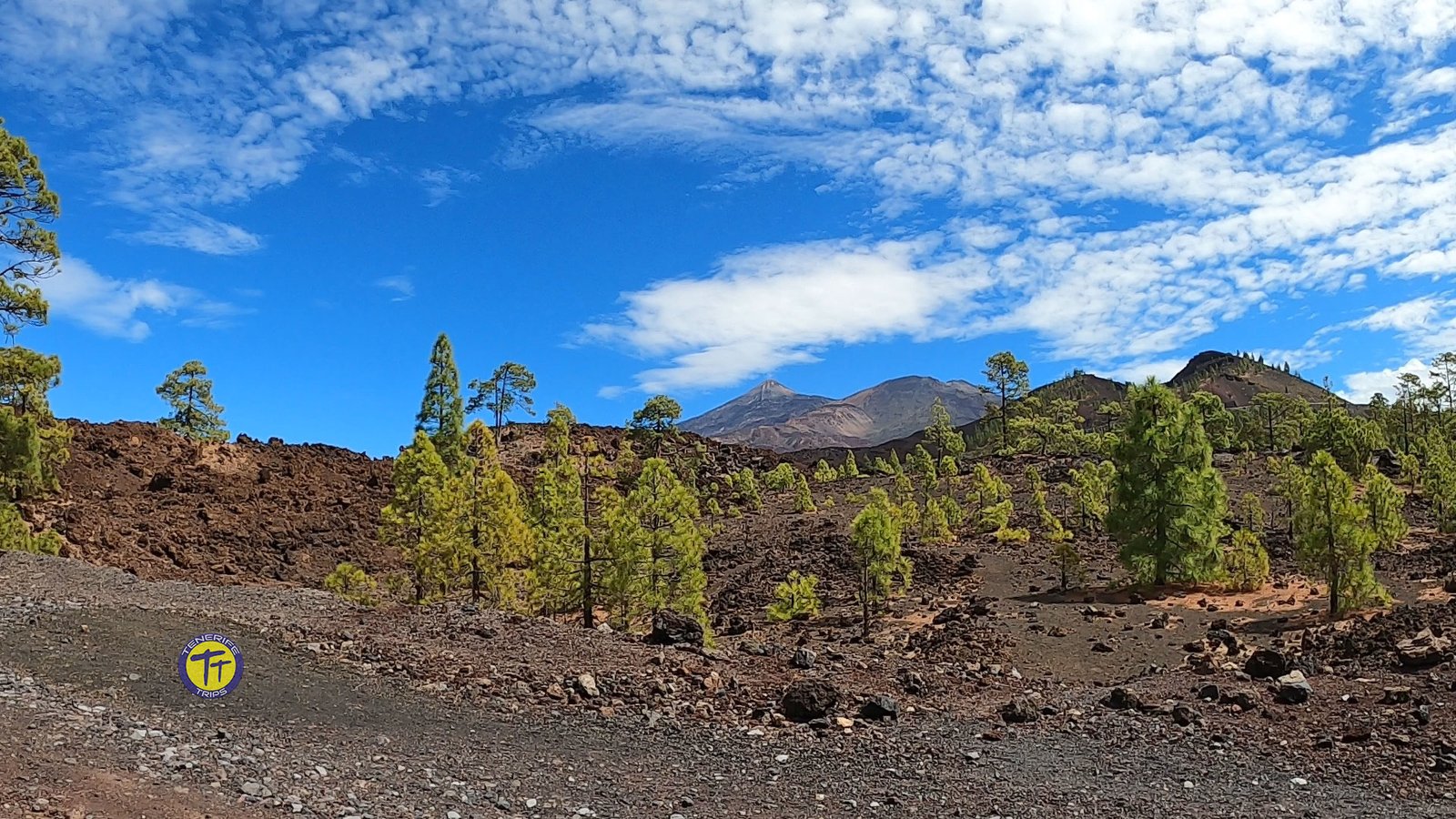 quad Teide