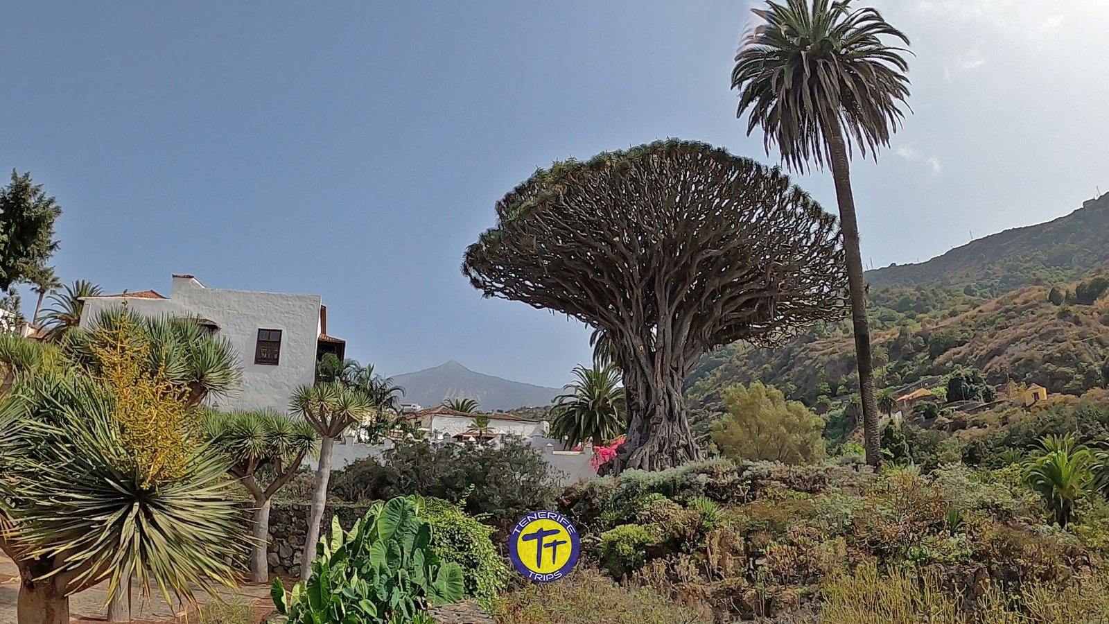 Teneriffa Sehenswürdigkeiten