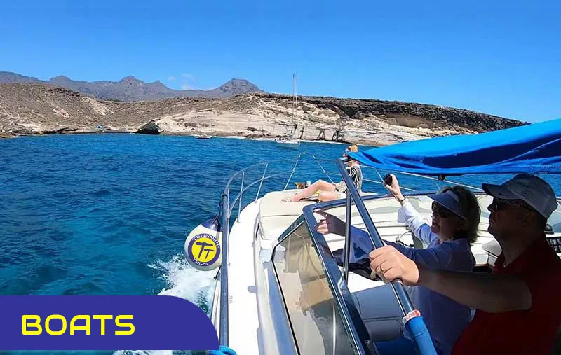 boat trips