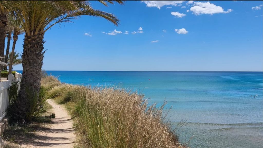 La Zenia piccola