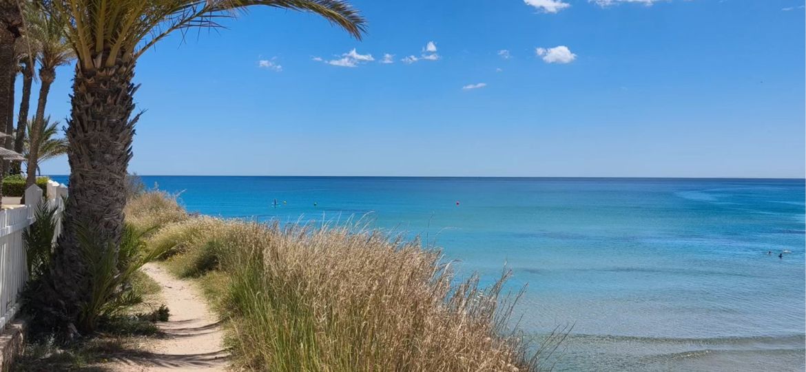 La Zenia piccola